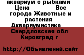 аквариум с рыбками › Цена ­ 15 000 - Все города Животные и растения » Аквариумистика   . Свердловская обл.,Кировград г.